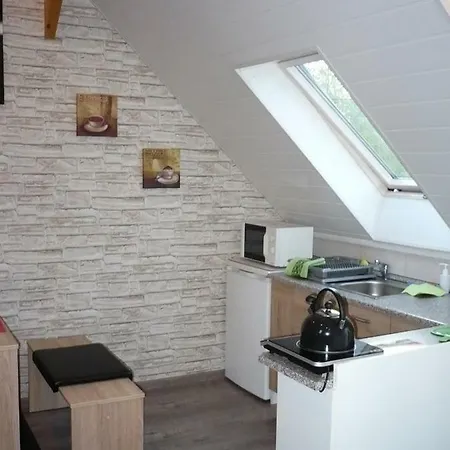 Apartman Smrcek Nove Mesto pod Smrkem Exterior photo